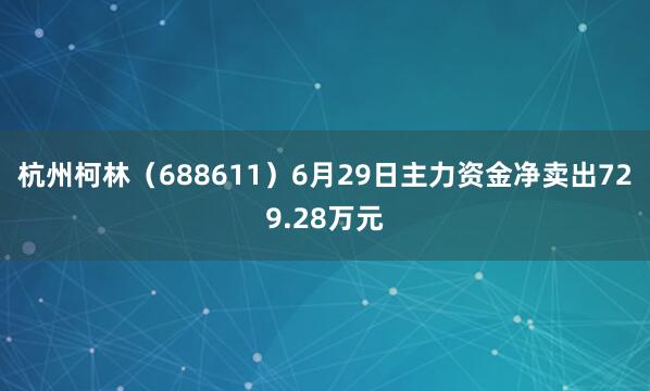 杭州柯林（688611）6月29日主力资金净卖出729.28万元