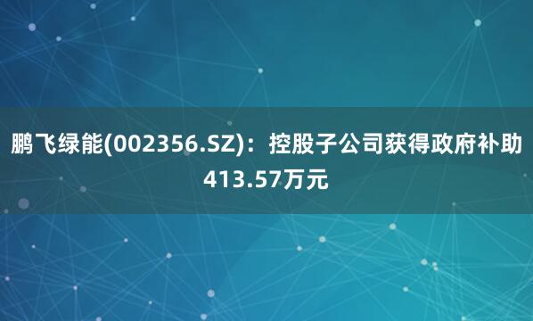 鹏飞绿能(002356.SZ)：控股子公司获得政府补助413.57万元