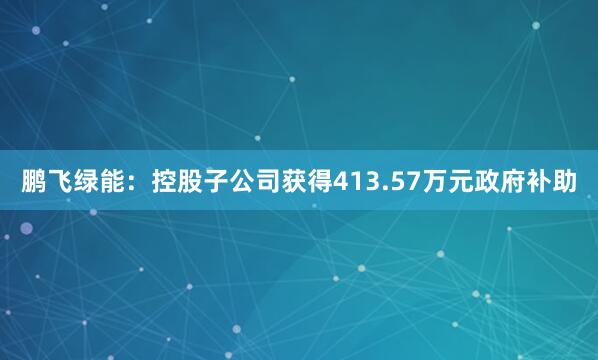 鹏飞绿能：控股子公司获得413.57万元政府补助