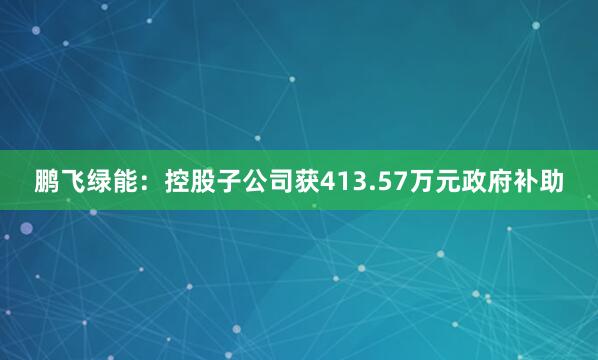 鹏飞绿能：控股子公司获413.57万元政府补助