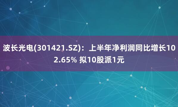 波长光电(301421.SZ)：上半年净利润同比增长102.65% 拟10股派1元