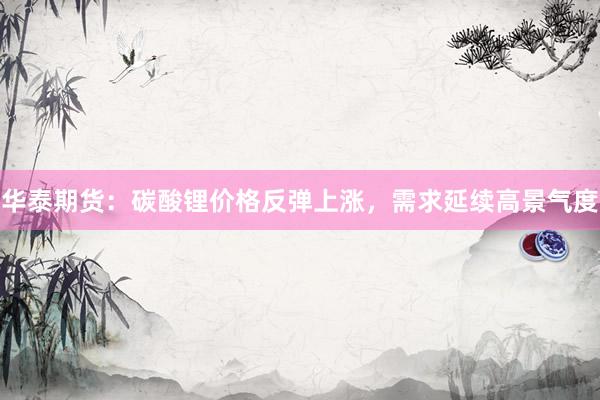 华泰期货:碳酸锂价格反弹上涨,需求延续高景气度