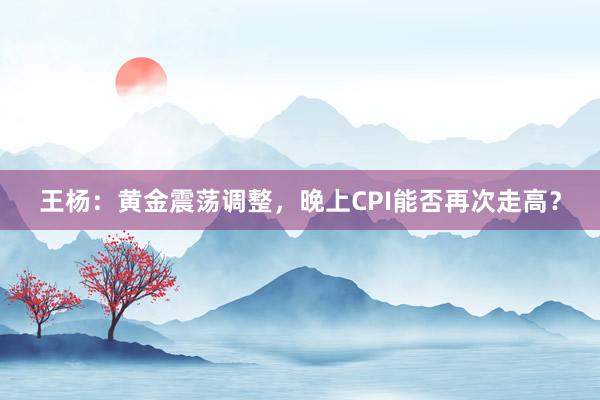 王杨：黄金震荡调整，晚上CPI能否再次走高？