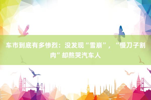 车市到底有多惨烈：没发现“雪崩”，“慢刀子割肉”却熬哭汽车人