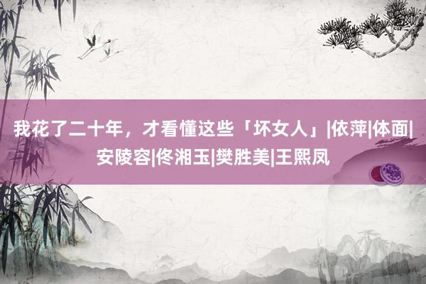 我花了二十年，才看懂这些「坏女人」|依萍|体面|安陵容|佟湘玉|樊胜美|王熙凤
