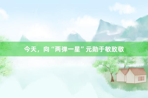 今天，向“两弹一星”元勋于敏致敬