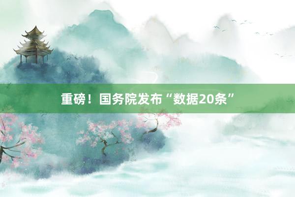 重磅！国务院发布“数据20条”