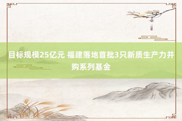 目标规模25亿元 福建落地首批3只新质生产力并购系列基金