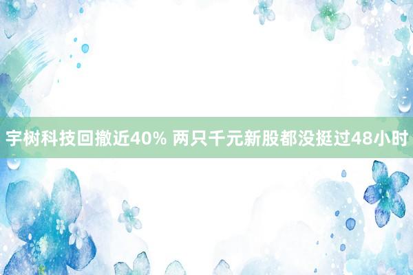 宇树科技回撤近40% 两只千元新股都没挺过48小时