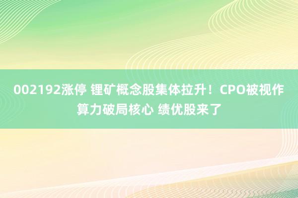 002192涨停 锂矿概念股集体拉升！CPO被视作算力破局核心 绩优股来了
