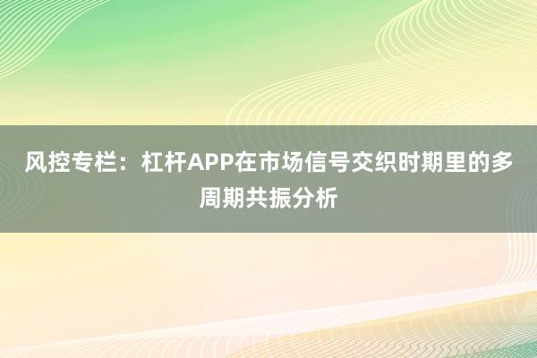 风控专栏：杠杆APP在市场信号交织时期里的多周期共振分析