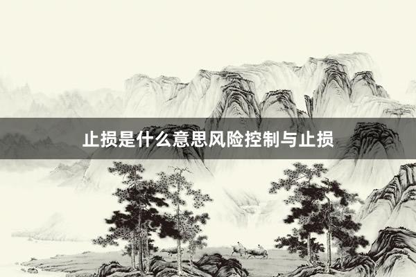 止损是什么意思风险控制与止损