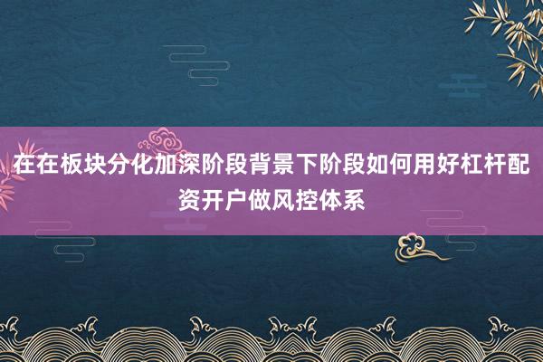 在在板块分化加深阶段背景下阶段如何用好杠杆配资开户做风控体系