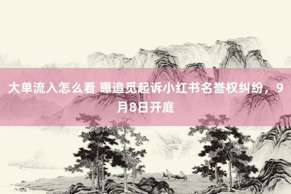 大单流入怎么看 曝追觅起诉小红书名誉权纠纷，9月8日开庭