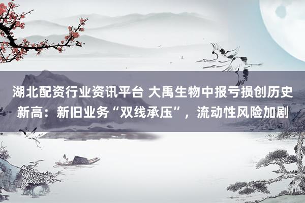 湖北配资行业资讯平台 大禹生物中报亏损创历史新高:新旧业务“双线承压”,流动性风险加剧
