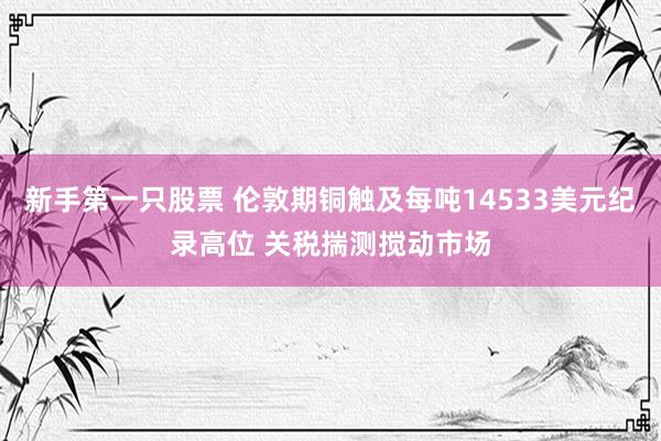 新手第一只股票 伦敦期铜触及每吨14533美元纪录高位 关税揣测搅动市场