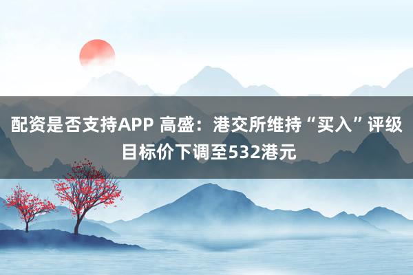 配资是否支持APP 高盛：港交所维持“买入”评级 目标价下调至532港元