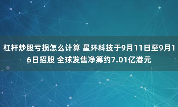 杠杆炒股亏损怎么计算 星环科技于9月11日至9月16日招股 全球发售净筹约7.01亿港元