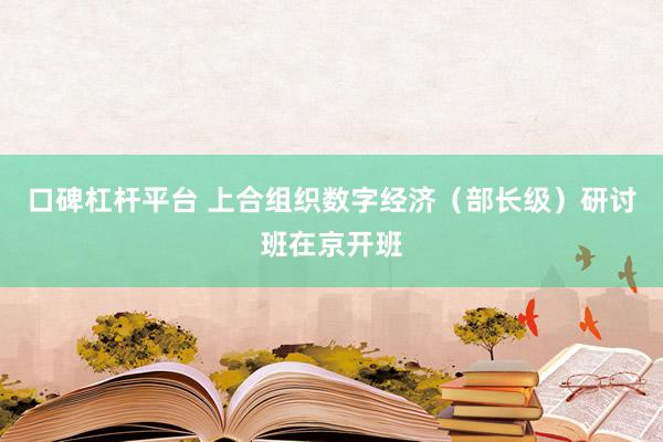 口碑杠杆平台 上合组织数字经济（部长级）研讨班在京开班