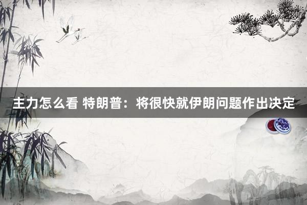 主力怎么看 特朗普：将很快就伊朗问题作出决定