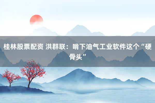 桂林股票配资 洪群联：啃下油气工业软件这个“硬骨头”